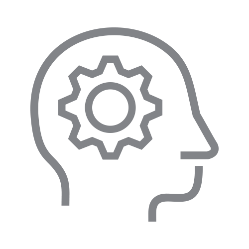 NSGB-Icon-PERCEPTIVE-rgb